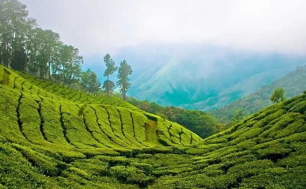 Kerala offline centers