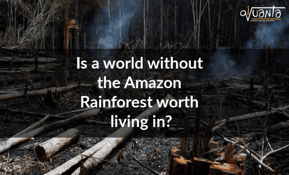 amazon rainforest deforestation
