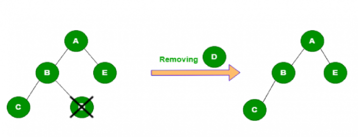 Tree in Data Structure Explained: Types & Key Operations - iQuanta