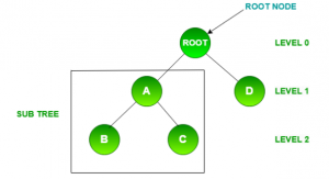 Tree in Data Structure Explained: Types & Key Operations - iQuanta