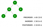 Tree in Data Structure Explained: Types & Key Operations - iQuanta