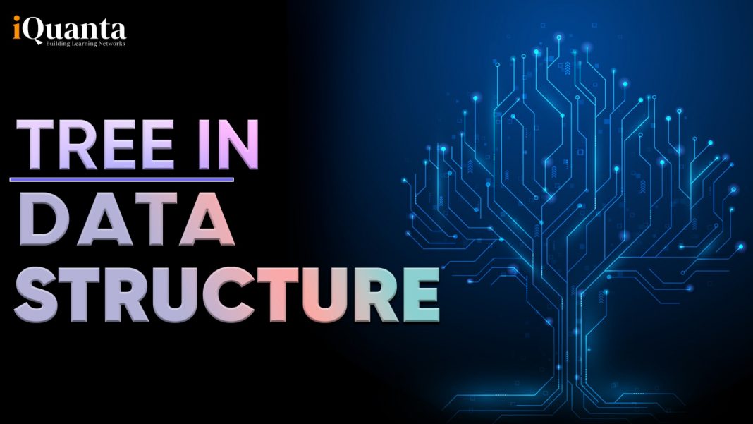 Tree in Data Structure Explained: Types & Key Operations - iQuanta
